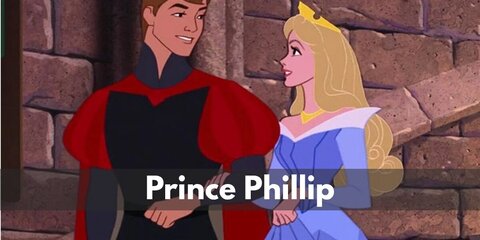 Prince Phillip (Sleeping Beauty) Costume