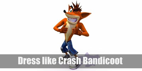 Crash Bandicoot Costume