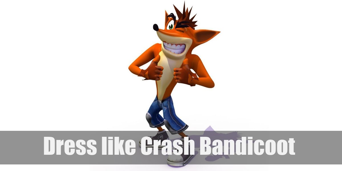 Crash Bandicoot Costume