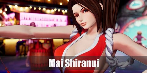 Mai Shiranui (Fatal Fury) Costume