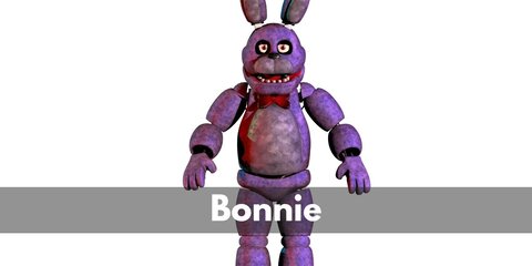Bonnie (Five Nights at Freddy's) Costume