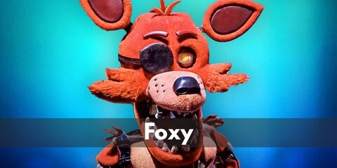 Foxy (Five Nights at Freddy's) Costume