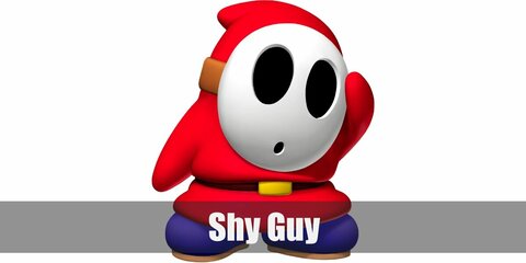 Shy Guy (Mario) costume