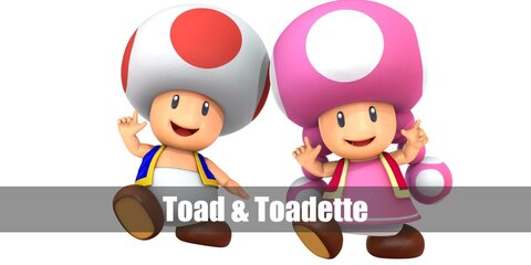 Toad and Toadette Costume from Super Mario