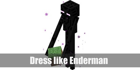 Enderman (Minecraft) Costume