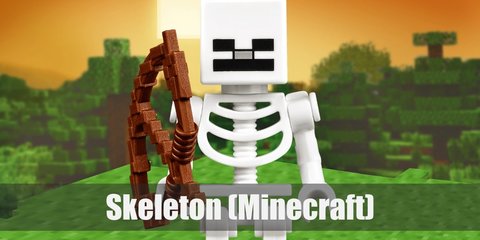 Skeleton (Minecraft) Costume