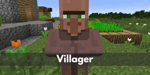 Villager (Minecraft) Costume