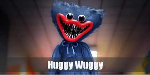 Huggy Wuggy Costume