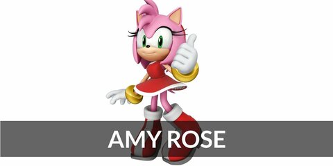 Amy Rose (Sonic the Hedgehog) Costume
