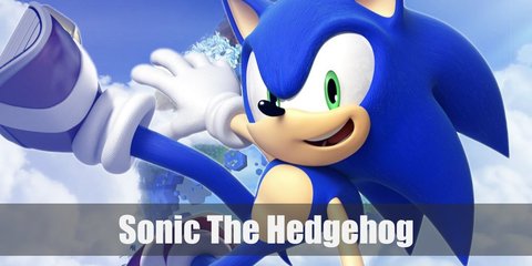 Sonic the Hedgehog Costume