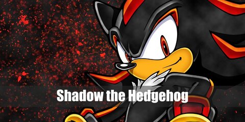 Shadow the Hedgehog Costume from Sonic the Hedgehog
