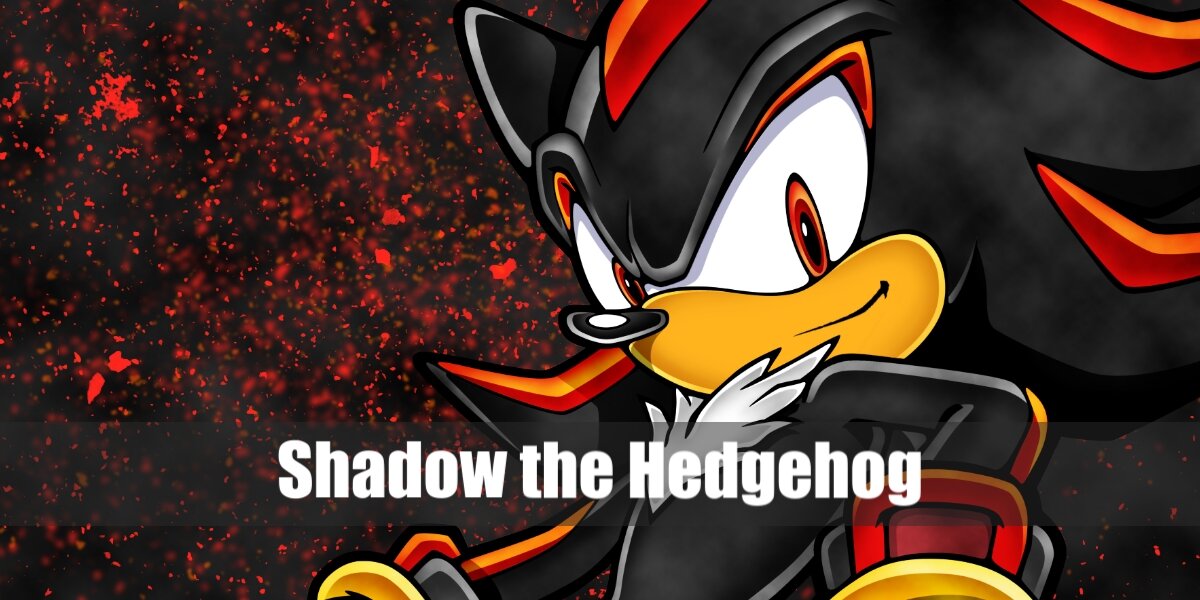 Shadow the Hedgehog Costume from Sonic the Hedgehog