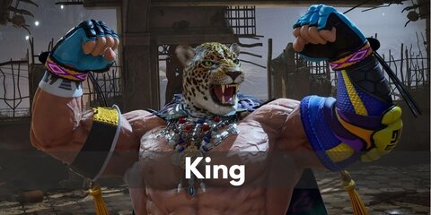King (Tekken) Costume