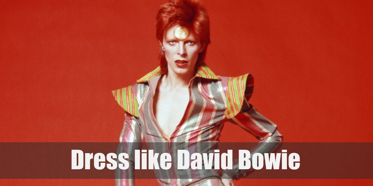 Ziggy Stardust & Labyrinth David Bowie Costume