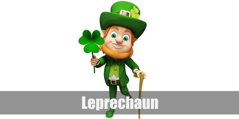 Leprechaun Costume