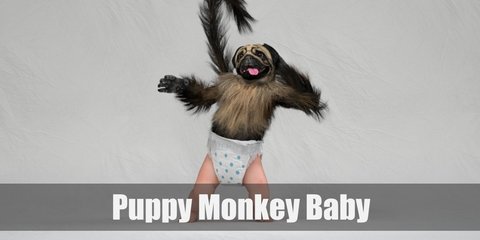 Puppy monkey baby Costume