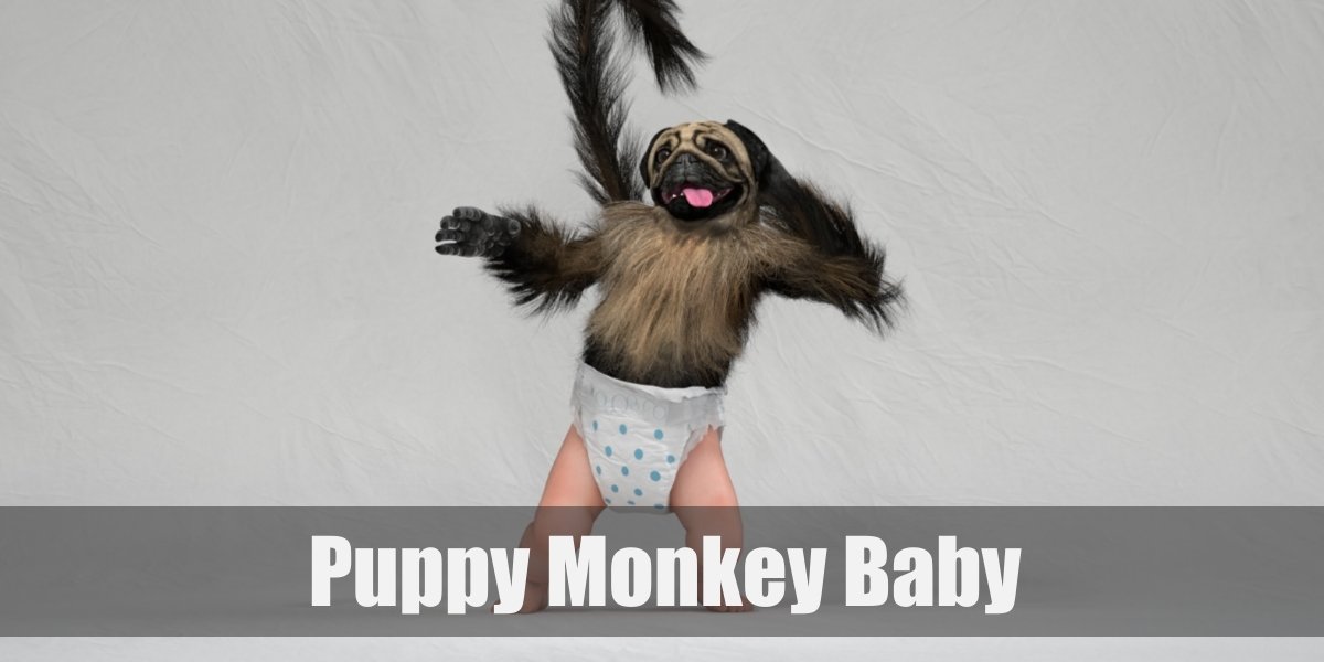 Puppy monkey baby Costume