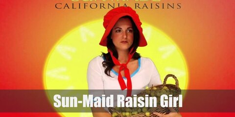 The Sun Maid Raisin Girl's Costume