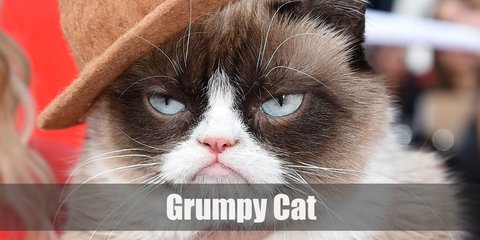 Grumpy Cat Costume