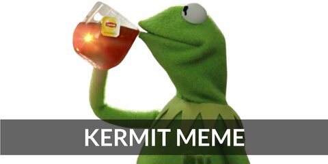 Kermit the Frog Meme Costume