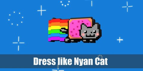 Nyan Cat Costume