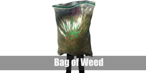 Bag of Weed Costume