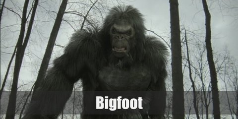 Bigfoot Costume