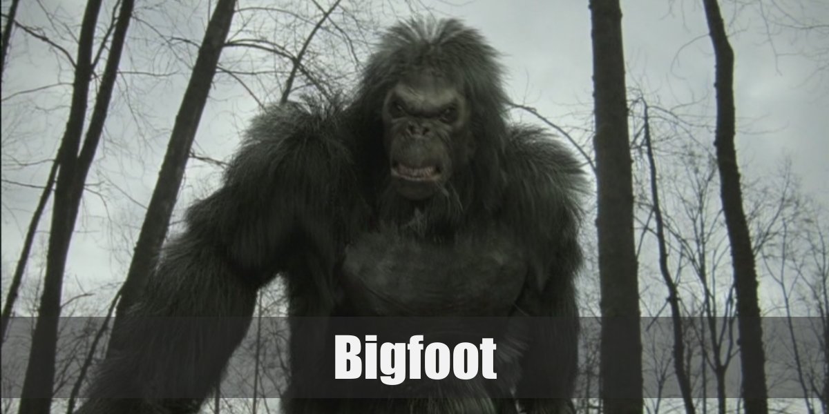 Bigfoot Costume