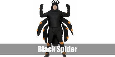Black Spider Costume