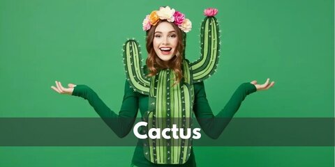 Cactus Costume