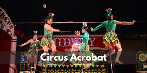 Circus Acrobat Costume