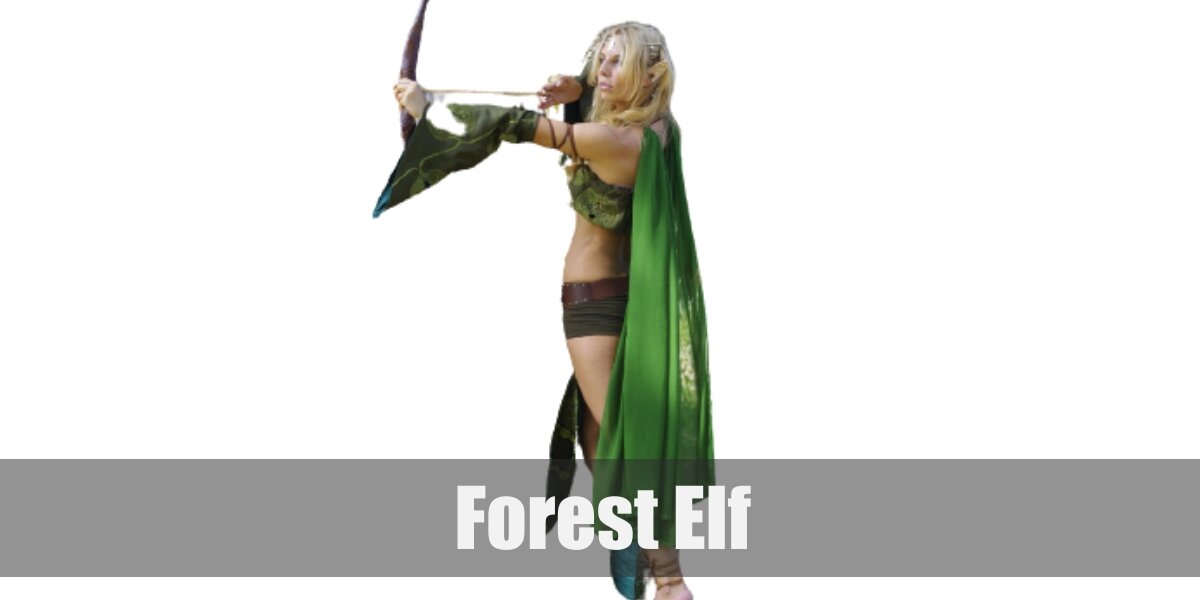 Forest Elf Costume