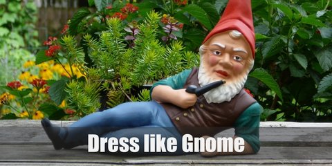 Gnome Costume
