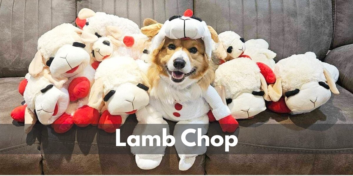 Shari Lewis' Lamb Chop Costume