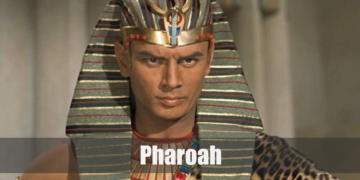 Egyptian Pharaoh Costume