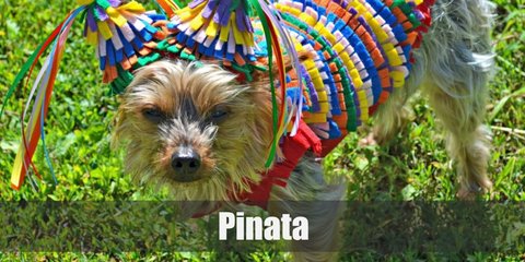 Pinata Costume