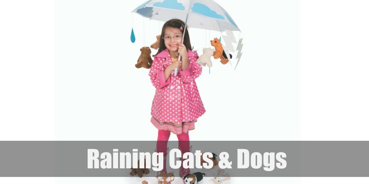 Raining Cats and Dogs Costume