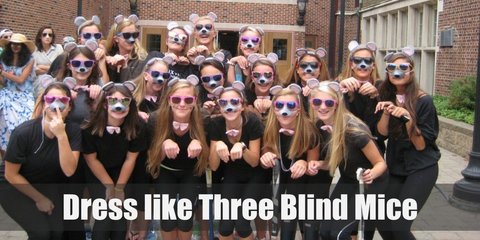Three Blind Mice Costume