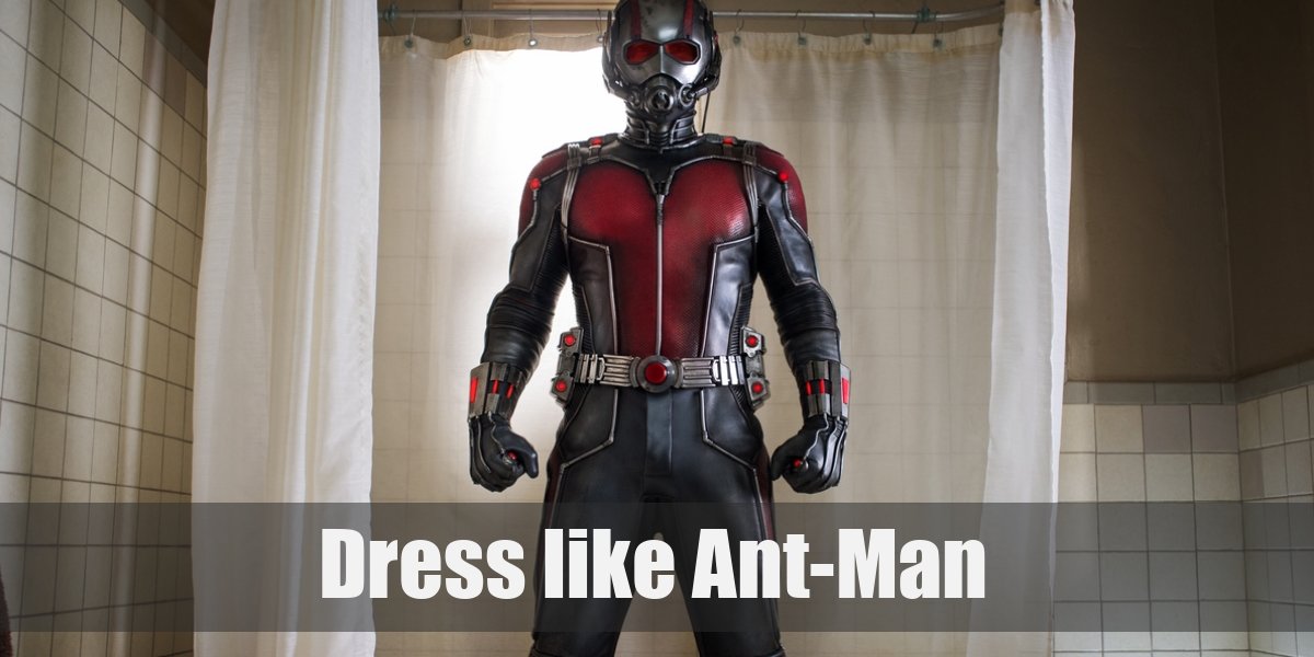 Ant-man Costume