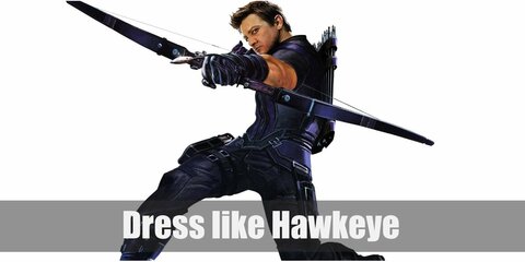Hawkeye Costume