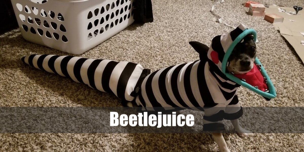 Sandworm's Costume from Beetlejuice