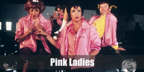Pink Ladies (Grease) Costume