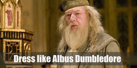Albus Dumbledore Costume