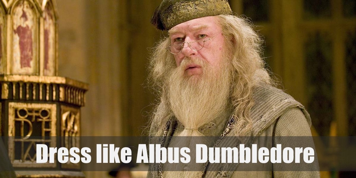 Albus Dumbledore Costume