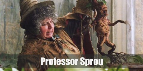 Professor Sprout (Harry Potter) Costume