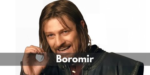 Boromir (Lord of the Rings) Costume
