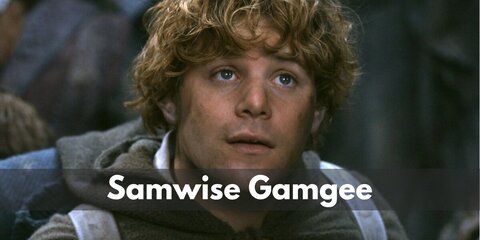 Samwise Gamgee (Lord of the Rings) Costume