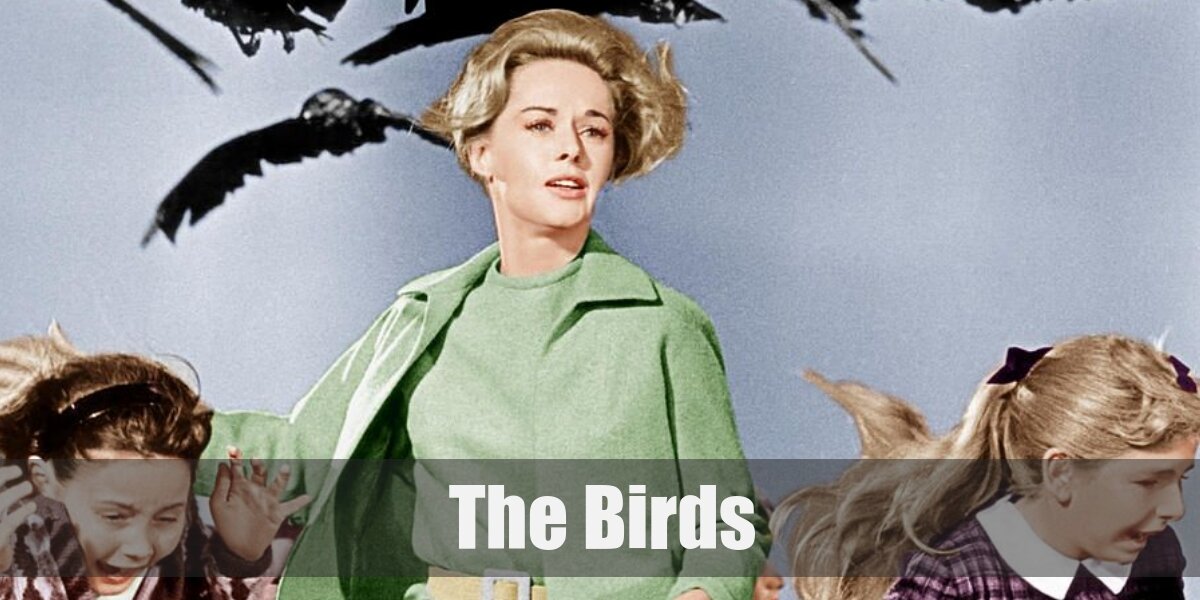 Melanie Daniels (The Birds) Costume
