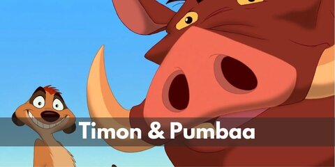 Timon and Pumbaa (The Lion King) Costume