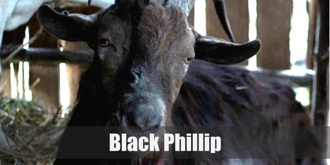 Black Phillip (The Witch) Costume
